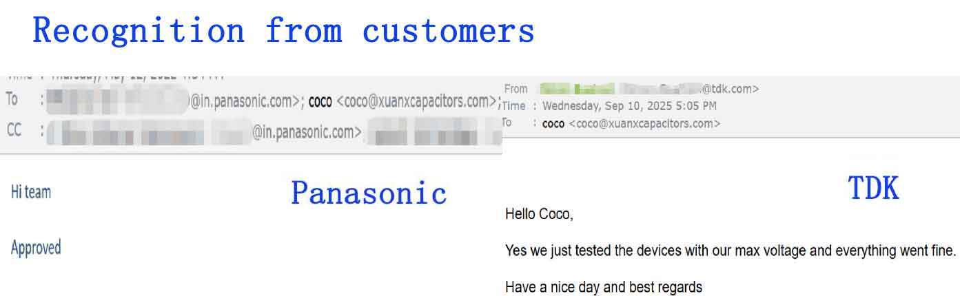 Xuansn Capacitor manufacturer